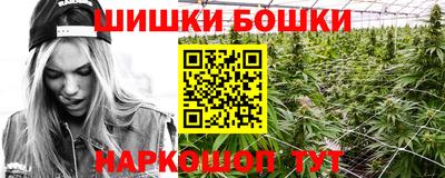 прущие грибы Малгобек