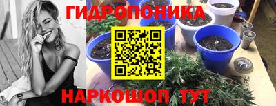 jwh Моздок