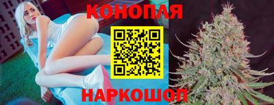 jwh Моздок