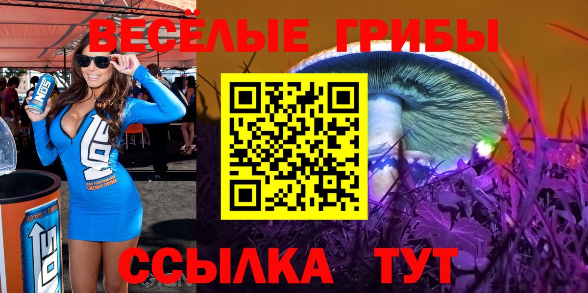 Тверь  Псилоцибиновые грибы прущие грибы  Вход с VPN 