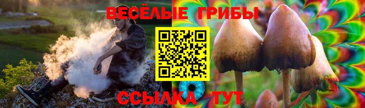 Галлюциногенные грибы прущие грибы Тверь